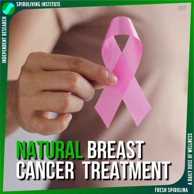 Spirulina Treatment Inhibited Breast Cancer Cell Proliferation After 2