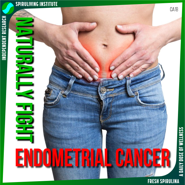 Spirulina Reduces Endometrial Cancer Tumors and Inhibits Metastasis