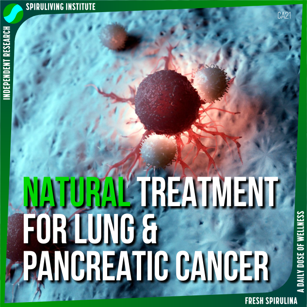 AntiCancer Activity of Spirulina Lung Cancer and Pancreatic Cancer