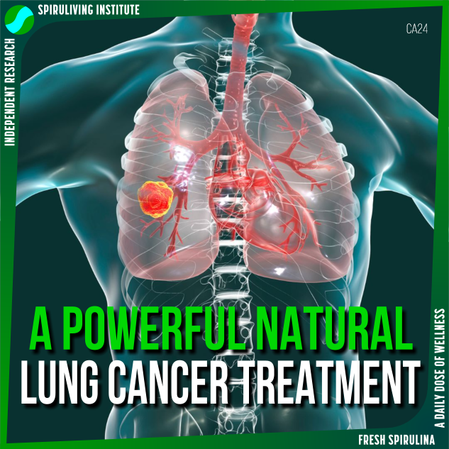 Preventive Properties of Spirulina Against Lung Cancer Cells Confirmed